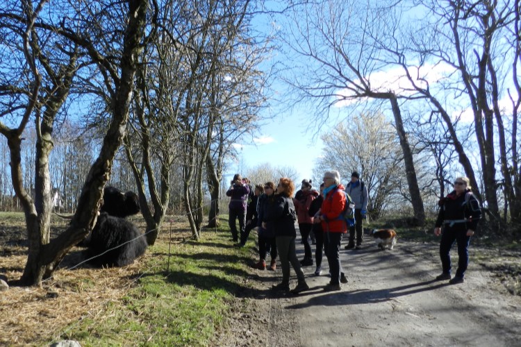 Guidet vandretur ved Roskilde